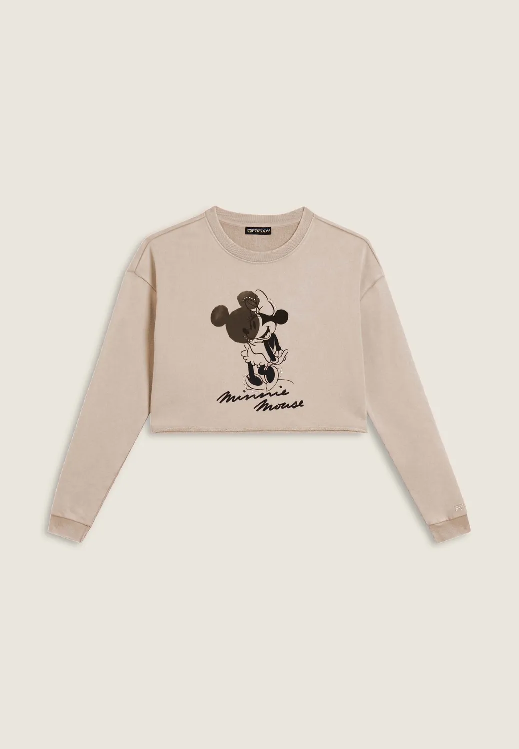 Freddy Disney Cropped Sweatshirt Grau Strass Used